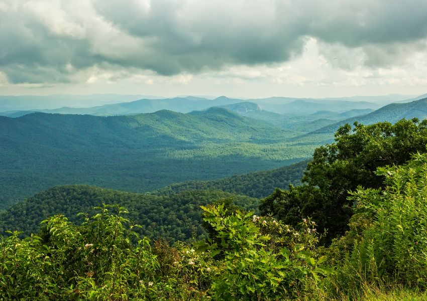 North Carolina Scenery